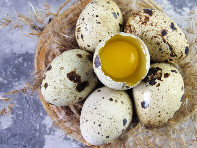 Cómo cocer huevos de codorniz y que queden perfectos