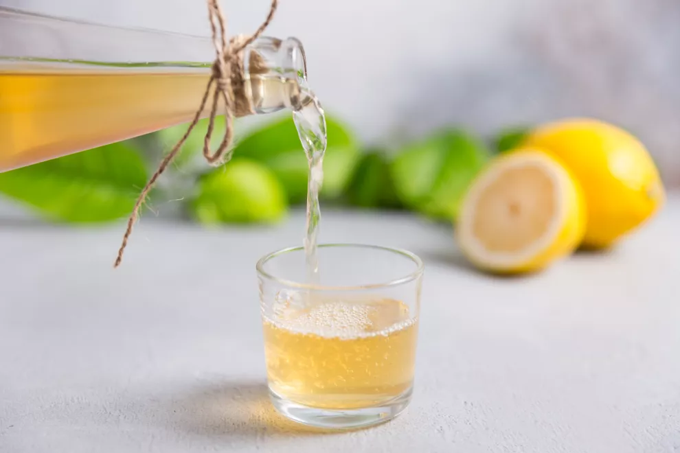 El Futuro De La Kombucha En Los Supermercados Españoles
