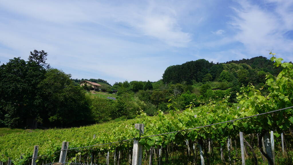 Conoce La Ruta Del Txakoli, El Mejor Vino A 20 Minutos De Bilbao 1 El Plan Ideal Para Pasar El Día Y Culminarlo Bebiendo Vino