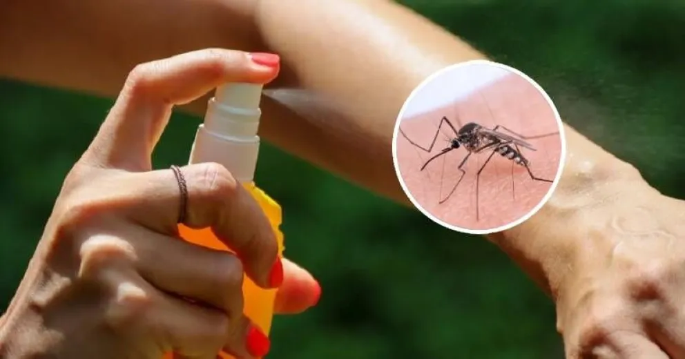 El Repelente Casero, Una Alternativa Ideal Para Combatir A Los Mosquitos 