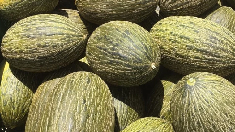Entero, cortado y siempre fresco: así llega el melón a tu mesa