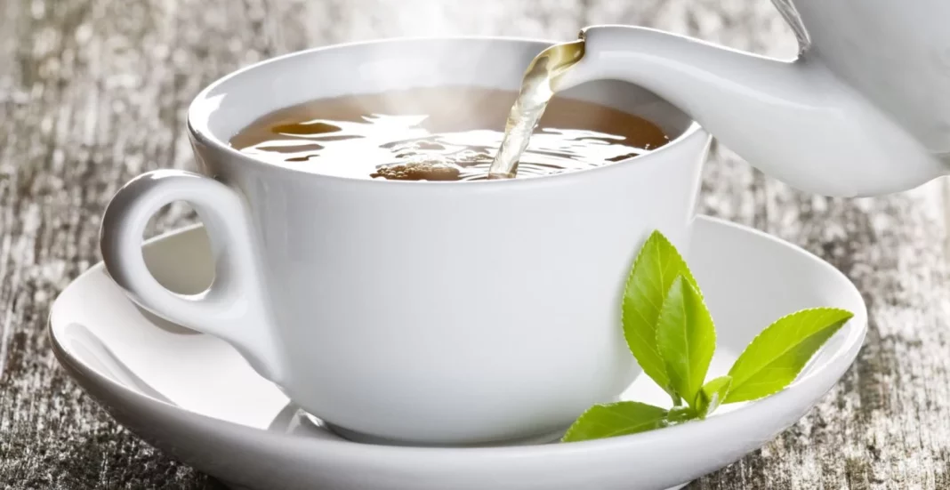El té verde de Mercadona: un elixir milenario de salud y bienestar