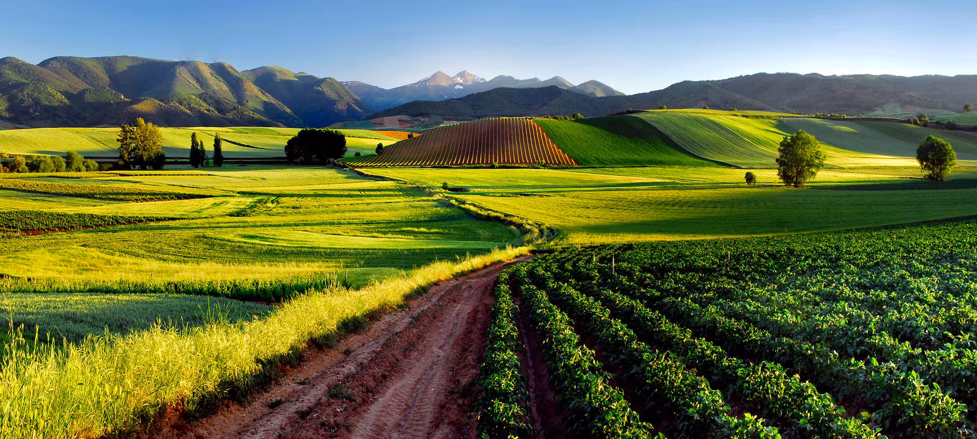 ¿Qué Visitar En La Rioja, La Ciudad Española Por Excelencia?