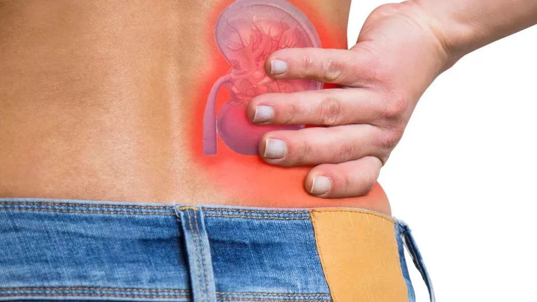 ¿Sabías que los riñones filtran más de 180 litros de sangre por día?
