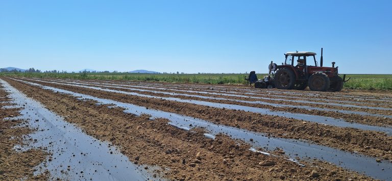 El campo se apunta a los plásticos BIO: la demanda se dispara en las últimas campañas