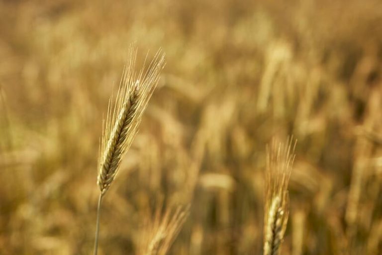 España agota todos los recursos naturales que le corresponden para este año