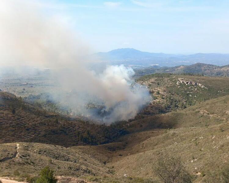 Los Bomberos trabajan en un incendio forestal en el Coll de l’Alba de Tortosa (Tarragona)