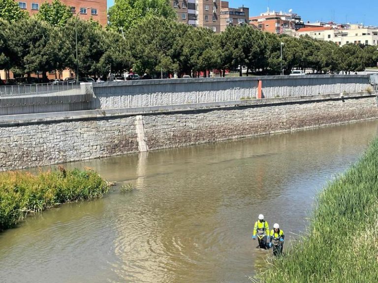 Más de 10.000 firmas en Change.org piden no iluminar el entorno del Manzanares, «un disparate que causará graves daños»