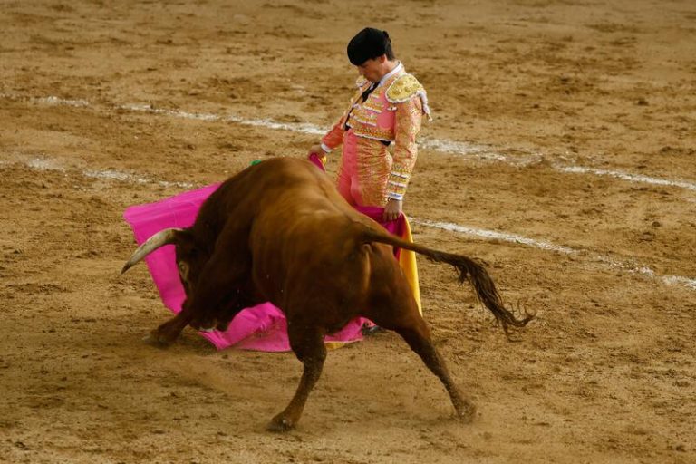 PACMA insta a Sánchez a prohibir las corridas de toros como en Colombia «si de verdad se considera progresista»