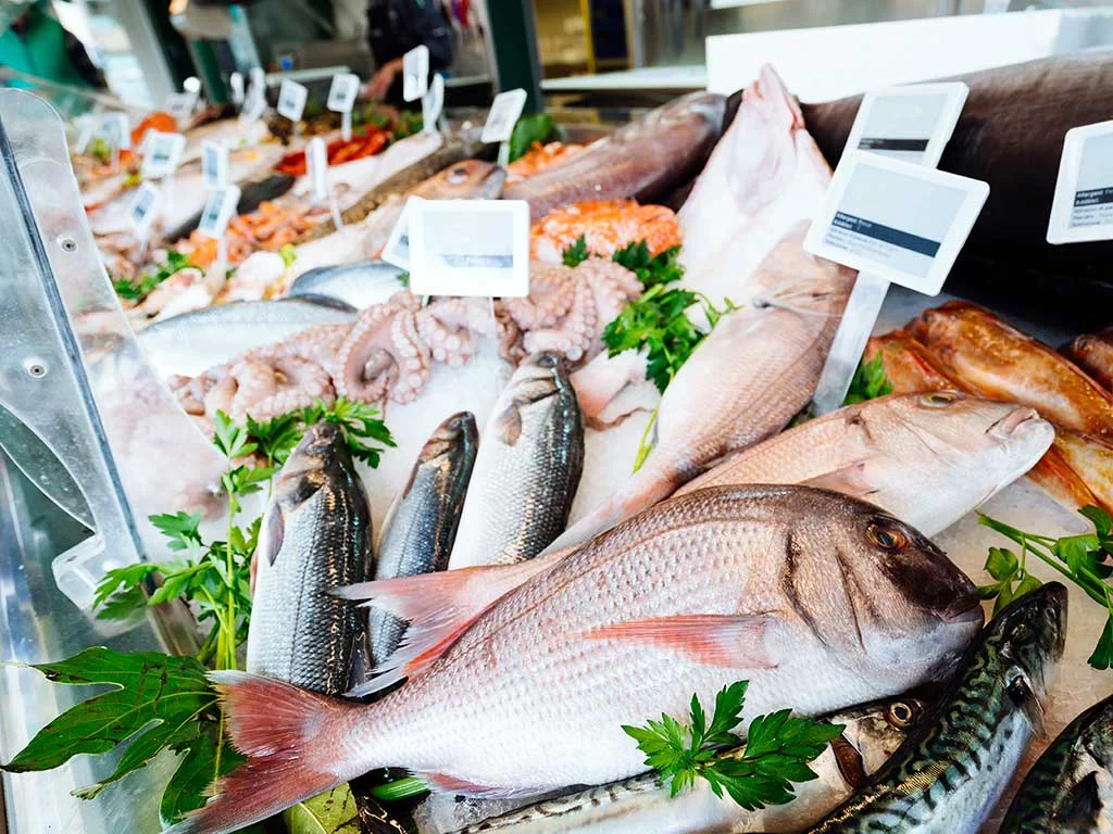 ¿Cuánto Pescado Se Recomienda Consumir?