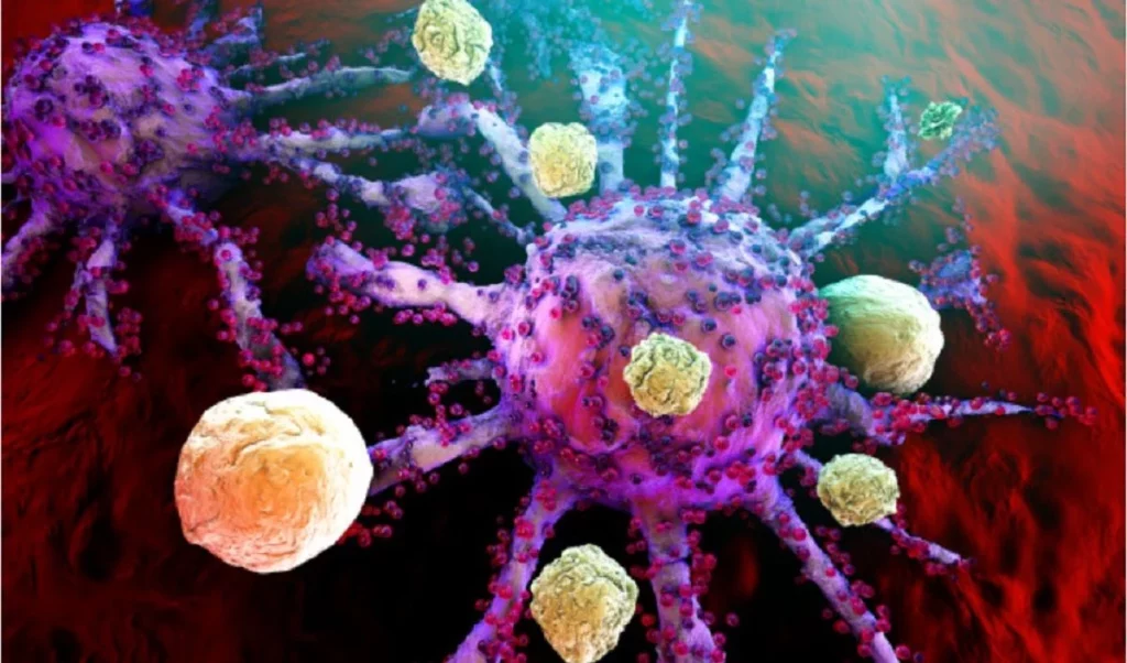 Avances Prometedores En El Tratamiento Del Cáncer De Ovario: Nuevos Descubrimientos Y Terapias Innovadoras
