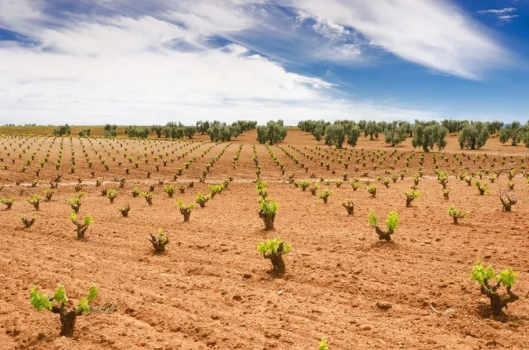 Cataluña y Valencia desafían la furia del clima en una batalla por la supervivencia