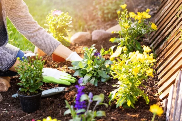 Conoce Los 5 Trucos Caseros Para Mantener Tu Jardín Exuberante Y Lleno De Vida Durante El Verano