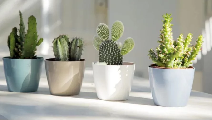 Están volando de Leroy Merlin estos maceteros de 1 euro para poner bonita tu casa, balcón o jardín