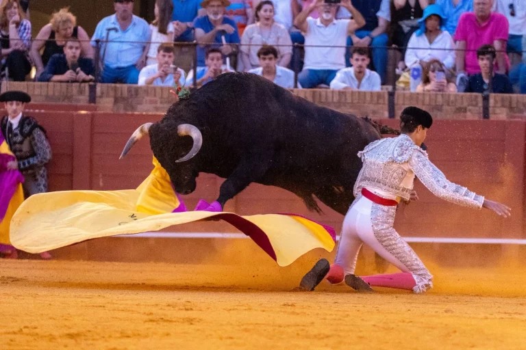 Animalistas piden al Papa condenar la tauromaquia, pero expertos en doctrina católica cuestionan que sea un pecado