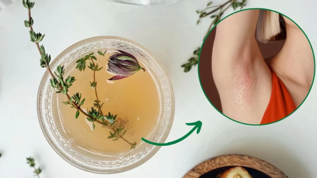 Infusiones De Salvia: Regulación Natural Del Sudor