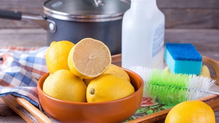6 trucos caseros efectivos para triunfar con una limpieza profunda y sin químicos