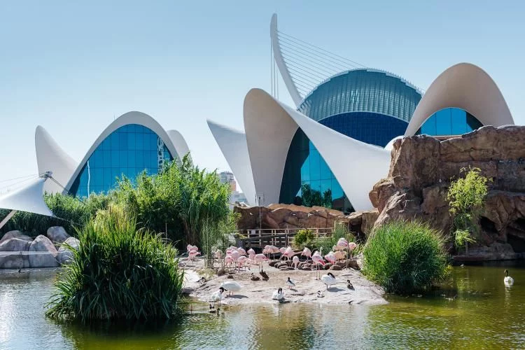 Oceanogràfic De Valencia: Sumérgete En Los Ecosistemas Del Planeta