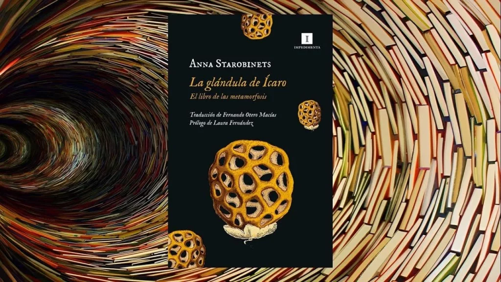 Otras Recomendaciones