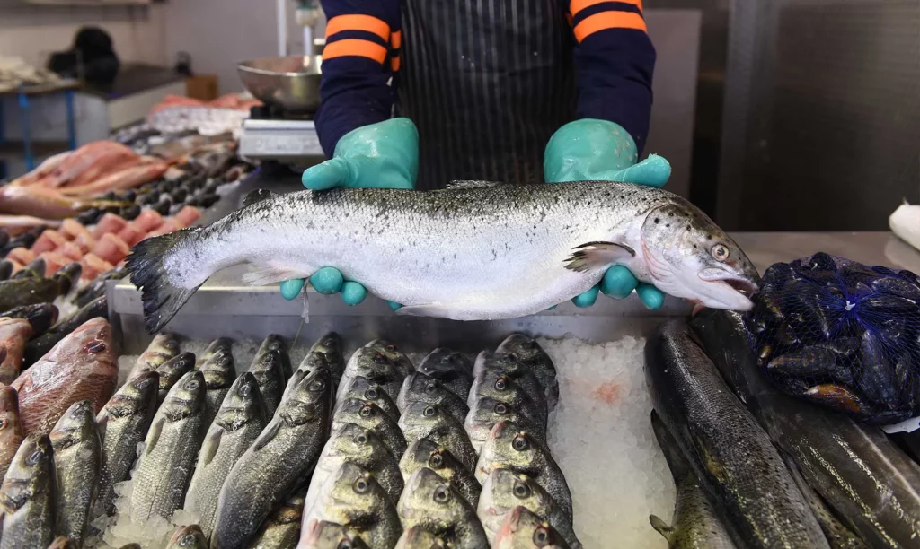 Pescados Con Menor Contenido De Mercurio Y Más Seguros Para El Consumo