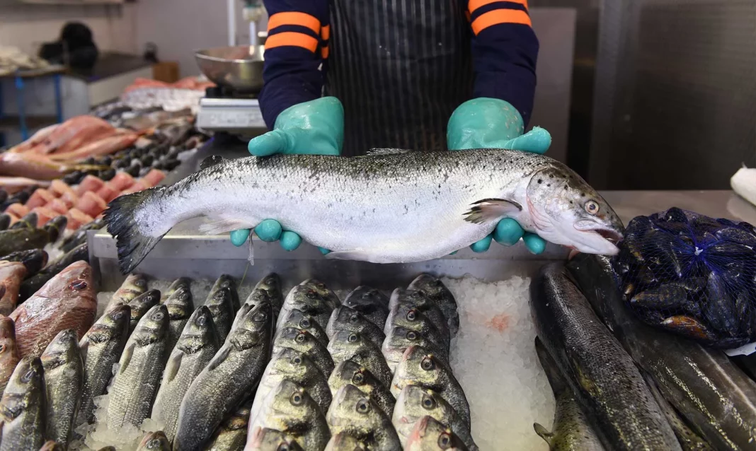 Cómo elegir el pescado perfecto, según la OCU