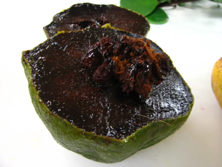 Conoce el zapote negro, la única fruta del mundo que sabe a chocolate