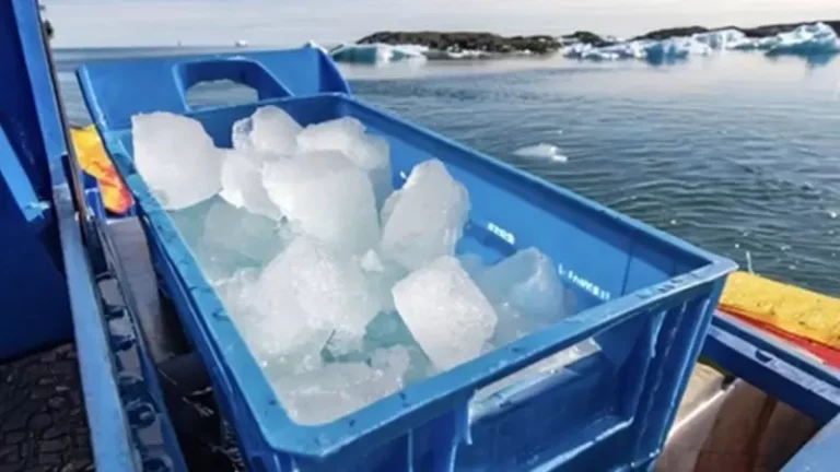 Destruyen glaciares para vender exclusivos cubos de hielo: El nuevo negocio de Dubai