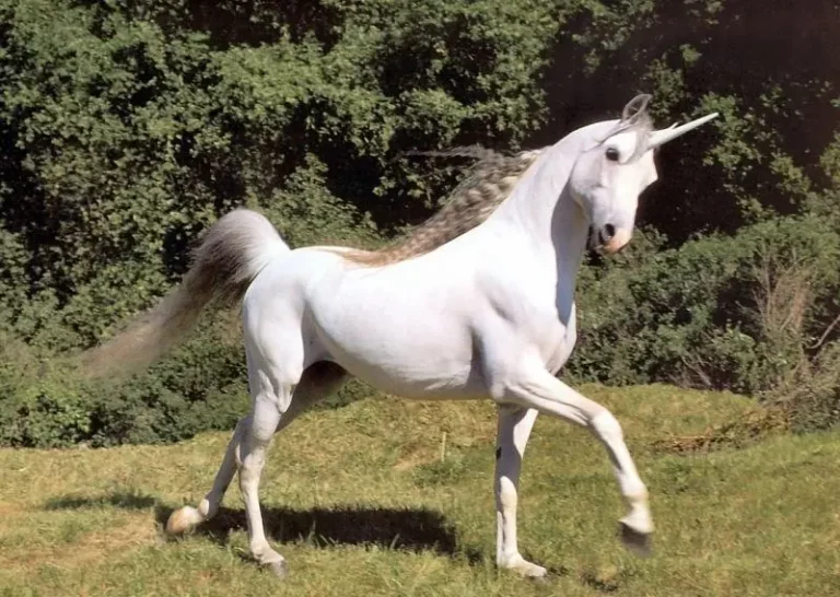 Como un cuento de hadas: Conoce el país que tiene al unicornio como animal nacional