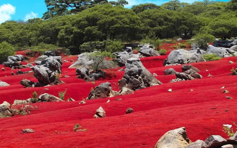 Ir a ‘Marte’ nunca fue tan fácil: Las Dunas Rojas de Pacula te esperan con una sorpresa