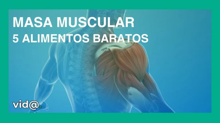 Dieta para aumentar masa muscular 5 alimentos baratos que se incluyen en ella