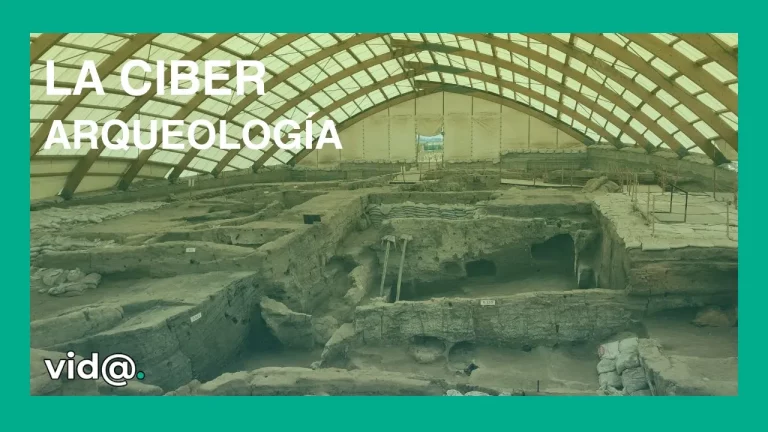La ciber arqueología