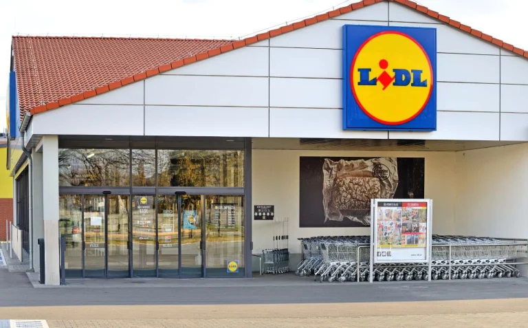 Consigue en Lidl por 100 euros menos de lo que vale el producto estrella del verano