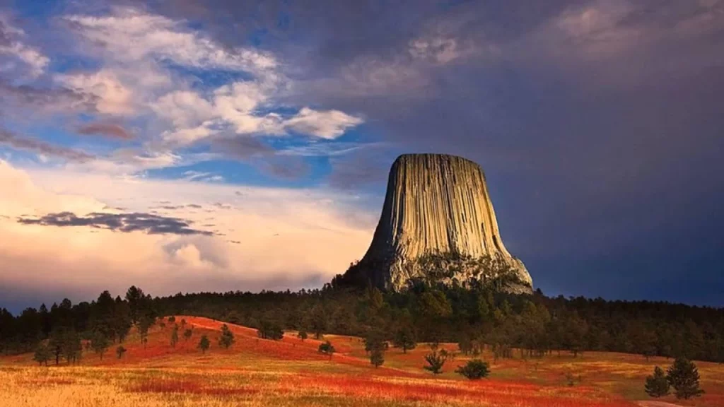 El Aventurero Que Casi Pierde La Vida En Esta Montaña De Musgo