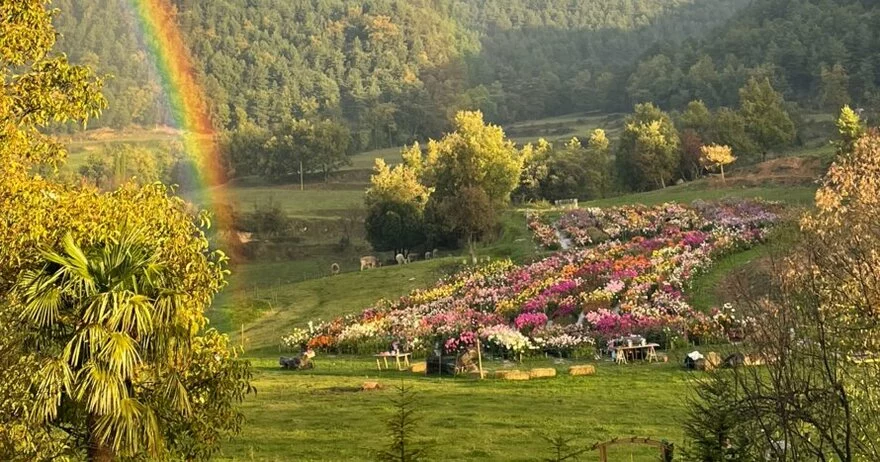 La Relajación Está Cerca De Barcelona, En Donde La Naturaleza Te Abraza