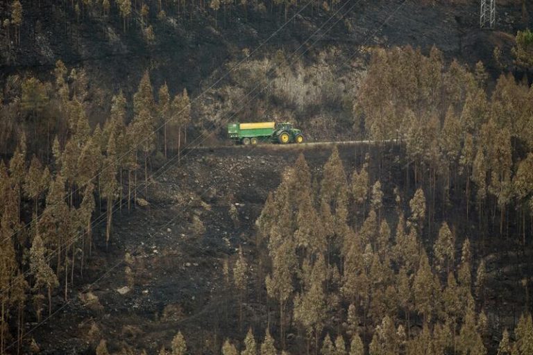 El fuego arrasa 18.270 hectáreas en España hasta mayo de 2024