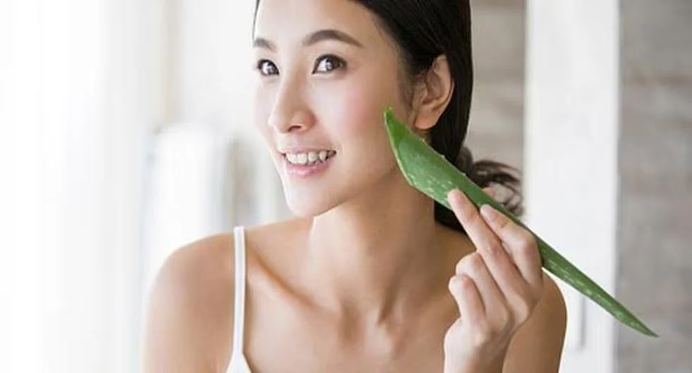 Aloe Vera: el milagro de la naturaleza