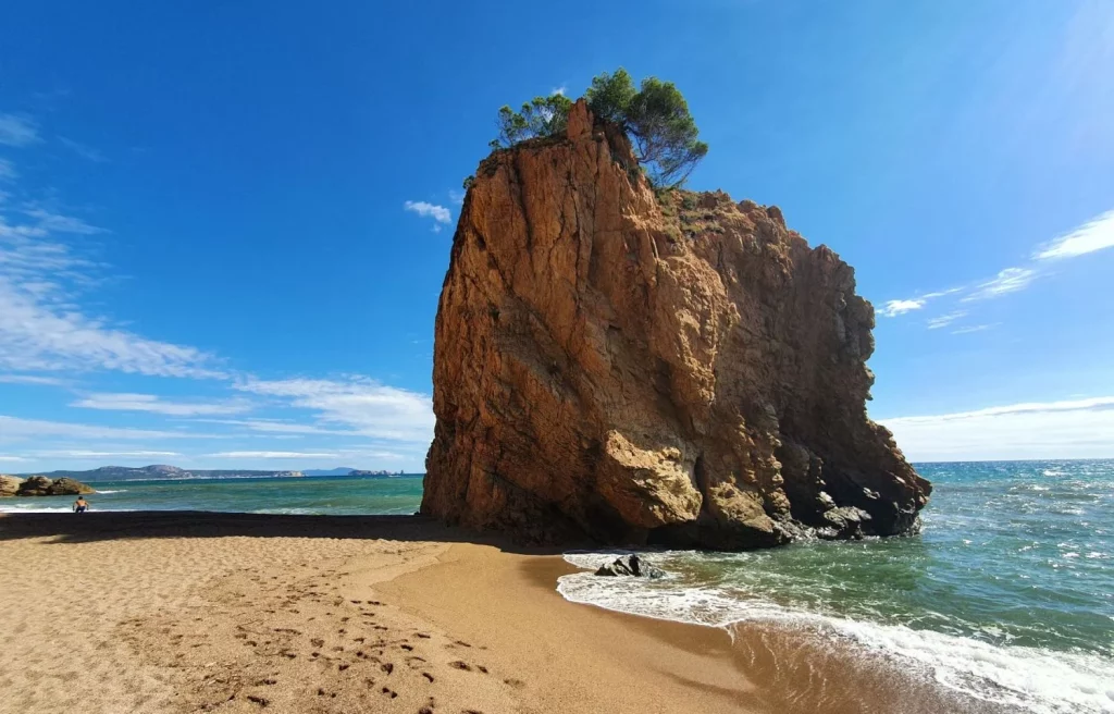 Cala De L’illa Roja: Un Santuario Natural