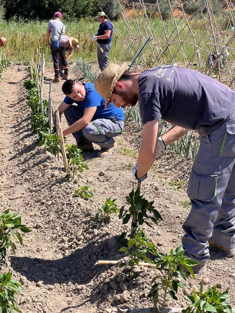 Europapress 6038763 Trabajos Campo Marco Iniciativa Aagrotajar