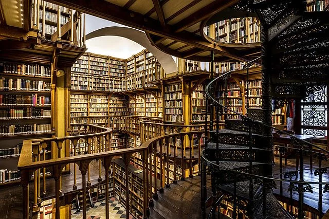 Internet: La Biblioteca Digital Moderna