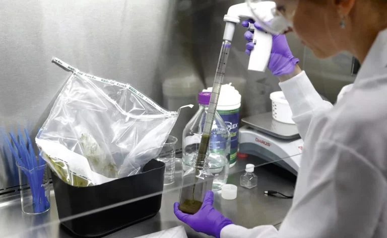 El primer trasplante de heces del mundo está a punto de hacer historia médica