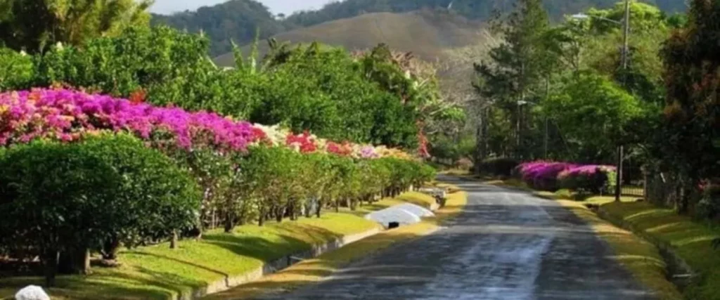 El Misterio Del Valle De Antón, En Donde Sus Árboles ¡Son Cuadrados! 1 El Valle De Antón, Ideal Para Los Amantes Del Senderismo