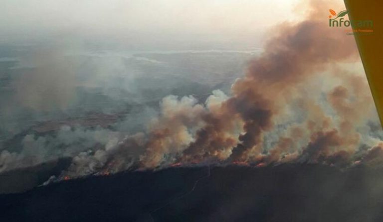 Alerta en España: Gobierno exige máxima precaución ante los devastadores incendios del Mediterráneo