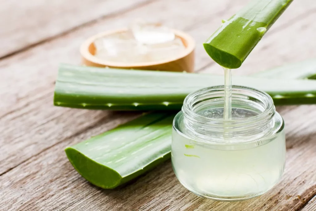 Aloe Vera: El Alivio Natural