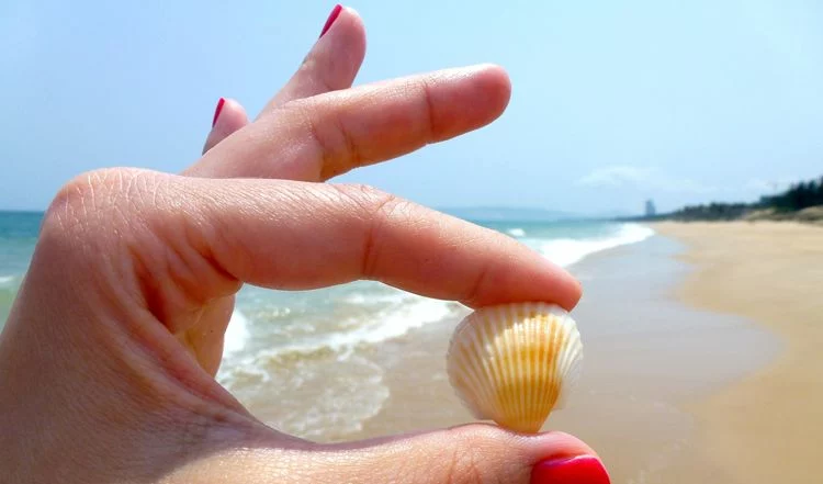 Amenazas ambientales y legales