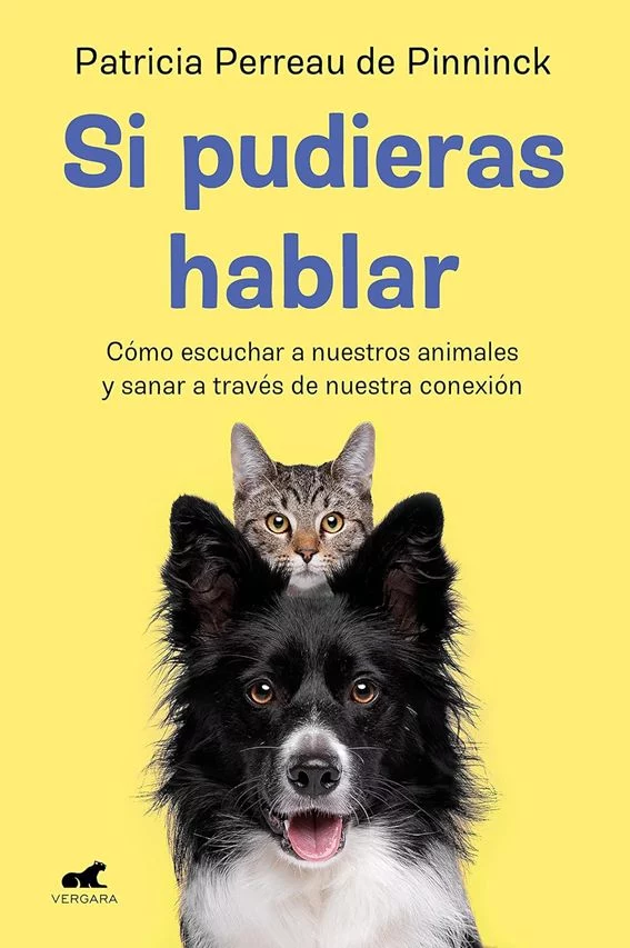 Comunicación y conexión profunda