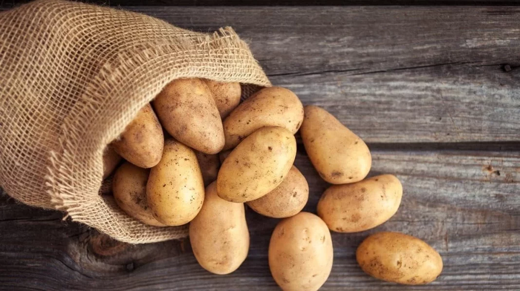La importancia de la preparación: horno sí, fritura no