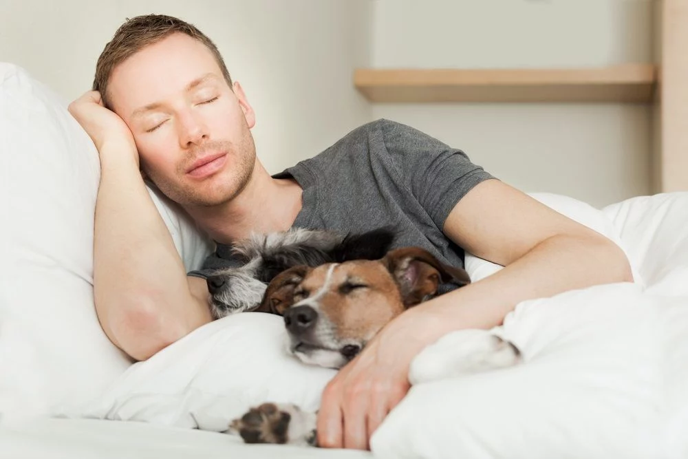 Perros: los mejores compañeros de cama
