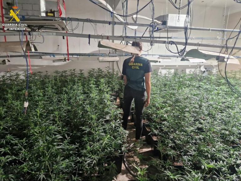 Detienen a un padre que utilizaba a sus hijos menores de edad para cultivar marihuana en Valencia