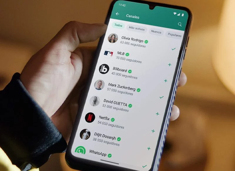 NUEVOS TEMAS DE WHATSAPP, EN FASE DE PRUEBAS