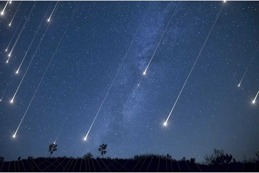 Consejos para elegir el mejor lugar de observación